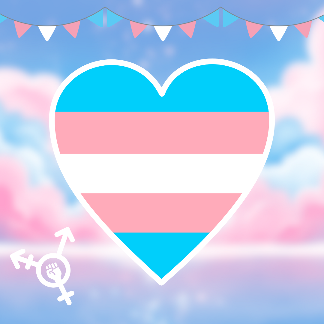 Trans / Transgender Merch