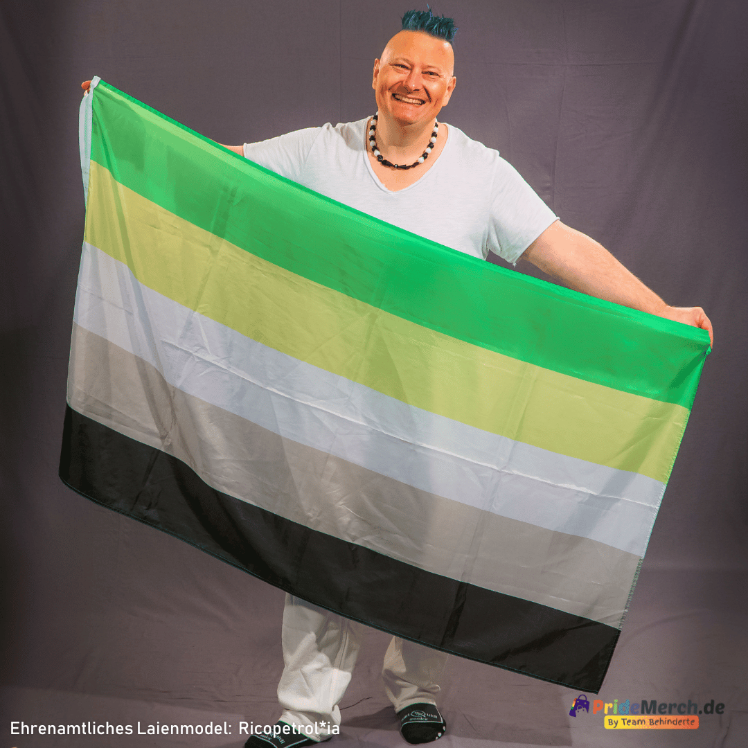 In der originalen Studioaufnahme zeigt das ehrenamtliche Laienmodel Ricopetrolia (Bremer Drag Queen Gina Petrolia) die große aromantische Flagge (150x90 cm) in ihrer vollen Pracht. Das Model lächelt herzlich in die Kamera und hält die fünfstreifige Flagge weit ausgebreitet vor sich. Das Logo von PrideMerch.de ist unten rechts dezent platziert.
