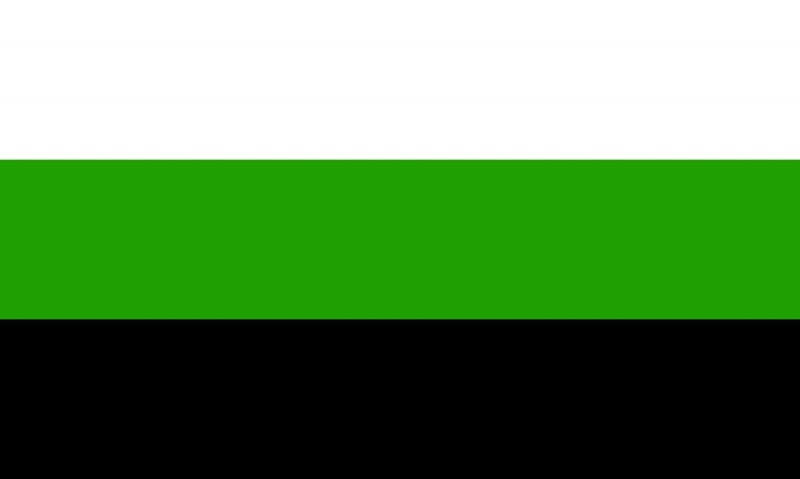 Grafik der Neutrois-Flagge im Querformat. Das Design besteht aus drei gleichmäßig breiten horizontalen Streifen in der Abfolge Weiß (oben), lebendiges Grün (Mitte) und Schwarz (unten). An der linken Seite ist das weiße Verstärkungsband mit den zwei runden, silbernen Metallösen zur Aufhängung zu sehen. Die Farben stehen für die geschlechtsneutrale Identität.
