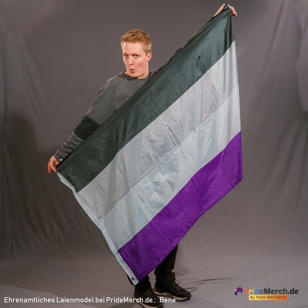 Asexuelle Pride Flag