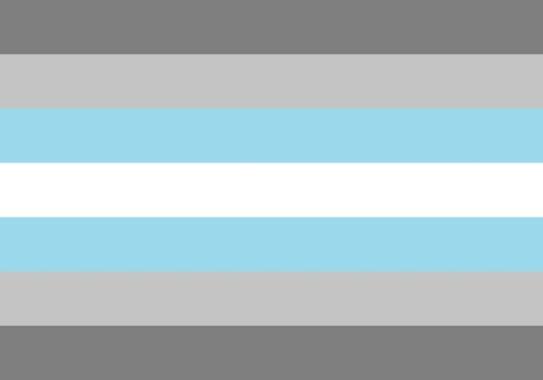 Demiboy-Flagge