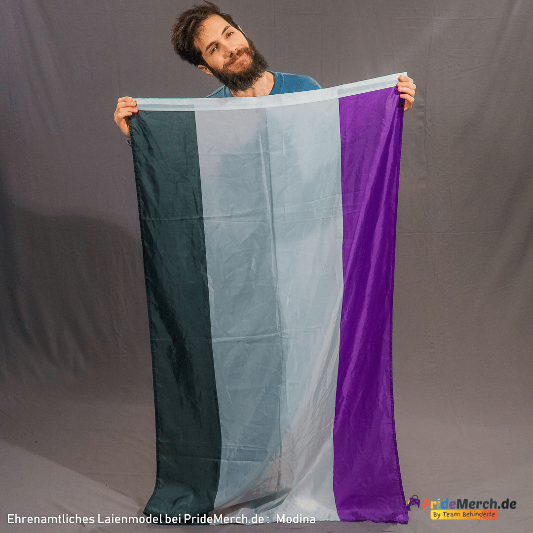 Asexuelle Pride Flag