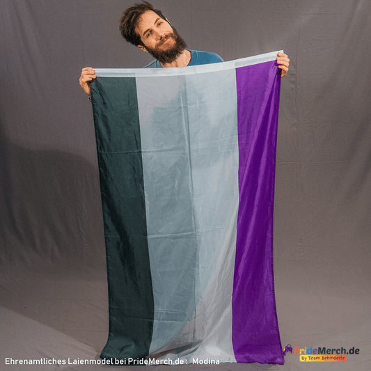 Asexuelle Pride Flag