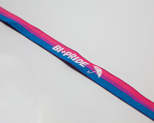 Bi+ Pride Hamburg – Offizielles Kooperations-Design