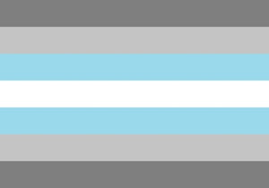 Demiboy-Flagge