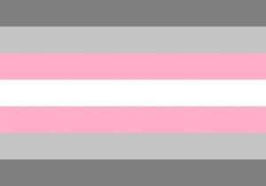 Demigirl-Flagge