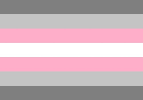 Demigirl-Flagge