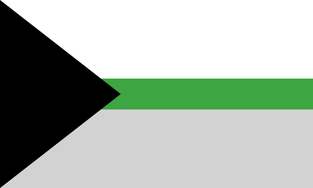Eine rechteckige Flagge im Querformat. An der linken Seite, direkt an der weißen Stoffkante mit den zwei silbernen Metallösen, sitzt ein großes schwarzes Dreieck, dessen Spitze nach rechts zur Mitte zeigt. Der restliche Teil der Flagge besteht aus drei breiten horizontalen Streifen: Oben weiß, in der Mitte ein leuchtendes Grün und unten grau. Der Polyesterstoff ist glatt und zeigt die kräftigen Farben des demiromantischen Designs.