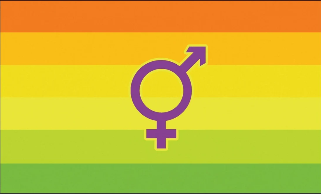 Hermaphrodit Pride Flag