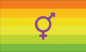 Hermaphrodit-Pride-Flagge