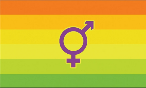 Hermaphrodit-Pride-Flagge