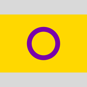 Intersex-Flagge