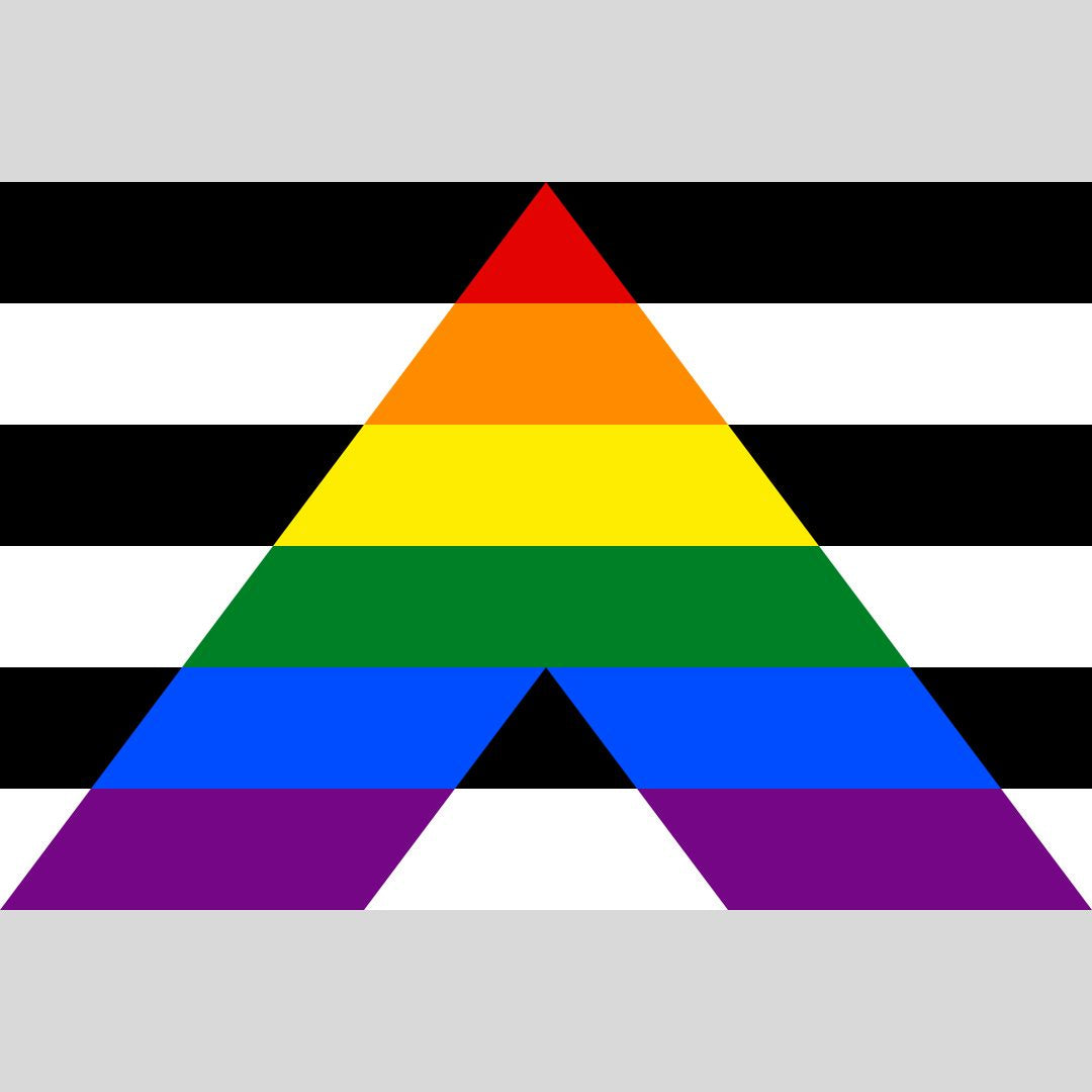 LGBTQ Straight Ally Pride Flag