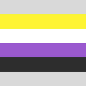 Nicht-Binär-Flagge (Nonbinary)
