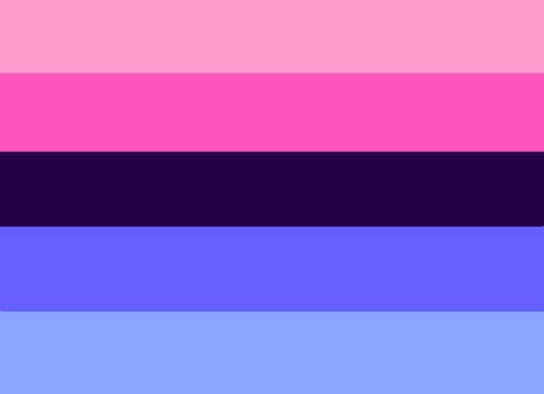Grafische Darstellung der omnisexuellen Flagge im Querformat. Das Design besteht aus fünf horizontalen Streifen. Die Farbabfolge von oben nach unten ist: Hellrosa, ein kräftigeres Pink, ein sehr dunkles Violett im Zentrum, ein helles Pastellblau und ein sattes Mittelblau unten. Die linke Kante ist mit einem weißen Besatzband verstärkt, in dem zwei silberne Metallösen zur Befestigung eingelassen sind.