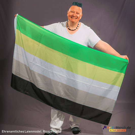 Aromantische Pride Flag