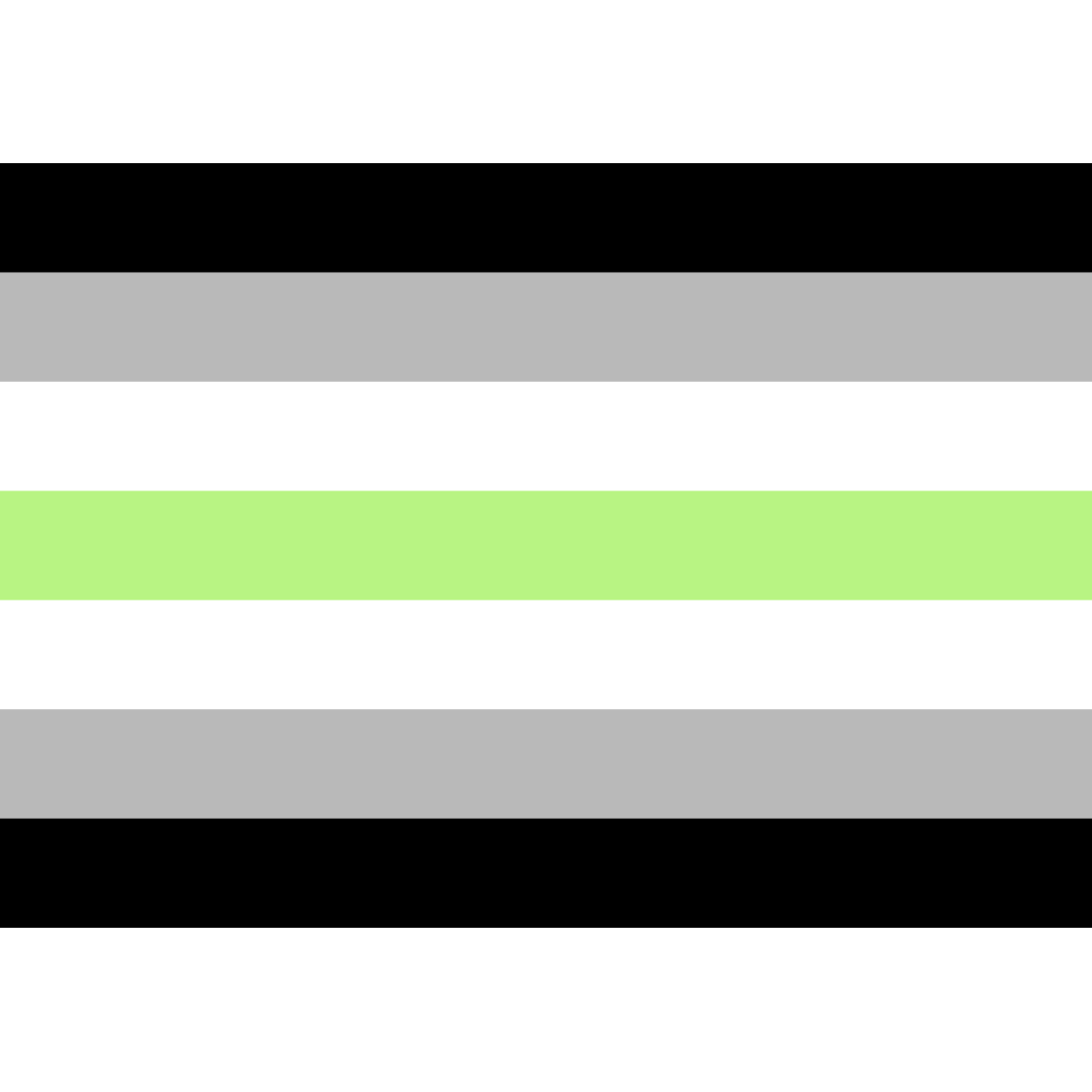 Agender Pride Flag - PrideMerch.de - Team Behinderte im Queer Cities e.V.