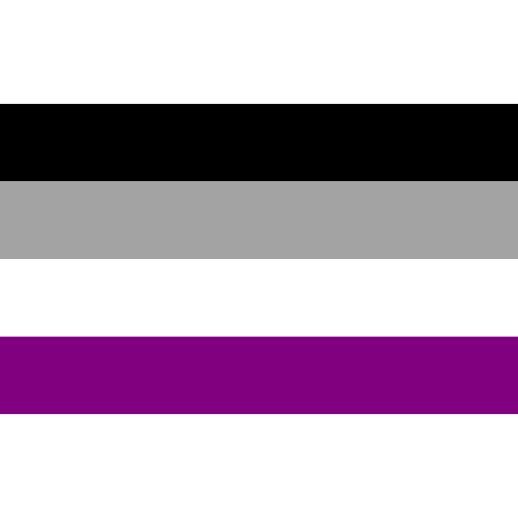 Asexuelle Pride Flag - PrideMerch.de - Team Behinderte im Queer Cities e.V.
