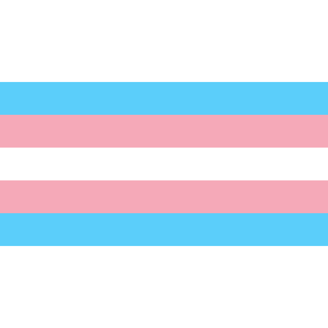 Trans Pride Flag - PrideMerch.de - Team Behinderte im Queer Cities e.V.