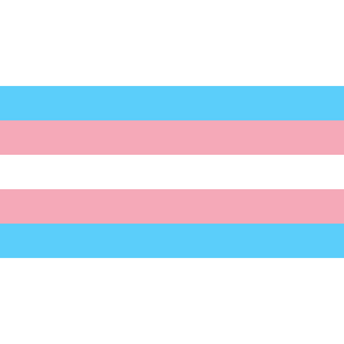 Trans-Flagge